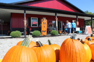 Pumpkin assortment outside barn